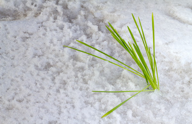 Similar image 2062426