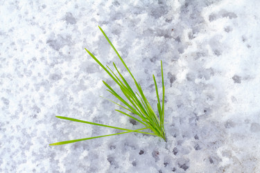 Similar image 2062428