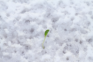 Similar image 2062430