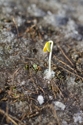 Similar image 2062433