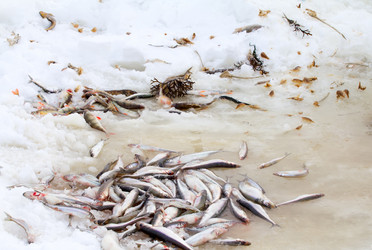 Similar image 2062436