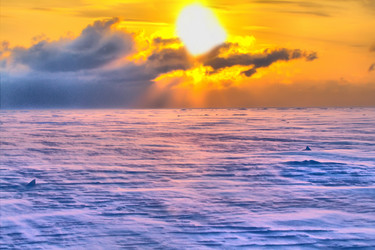 Similar image 2062444