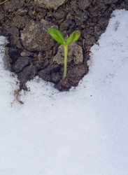 Similar image 2062448