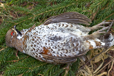 Similar image 2062475