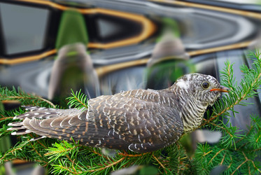 Similar image 2062577