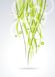 Similar image 2063209