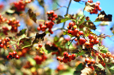 Similar image 2063323