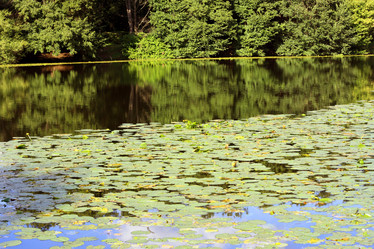 Similar image 2063328