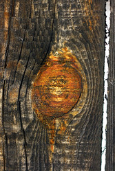 Similar image 2063528