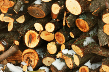 Similar image 2063530