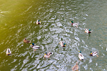 Similar image 2063535