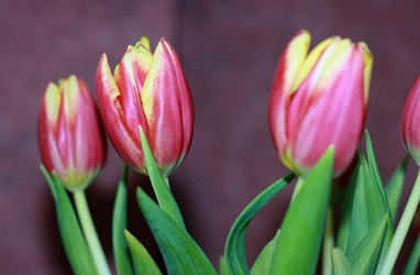 Similar image 2064104