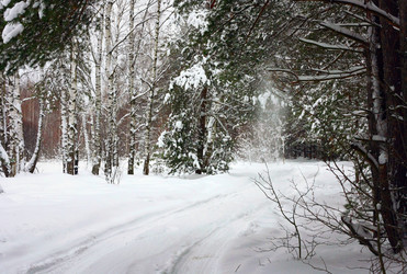 Similar image 2064110