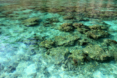 Similar image 2065836