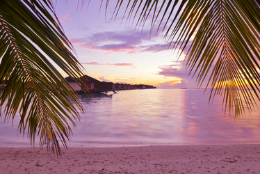 Similar image 2065879