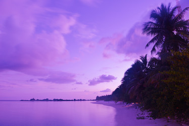 Similar image 2065882