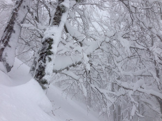 Similar image 2065941