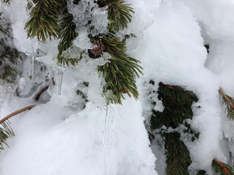 Similar image 2065943