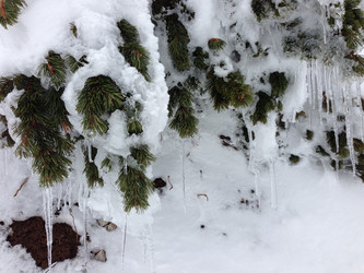 Similar image 2065946