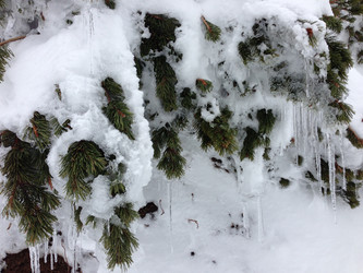 Similar image 2065948