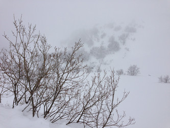 Similar image 2065950