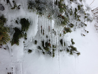 Similar image 2065954