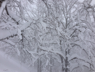 Similar image 2065957