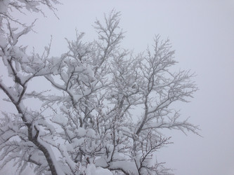 Similar image 2065961