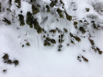 Similar image 2065966