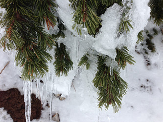 Similar image 2065967