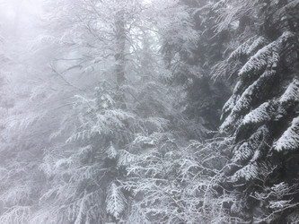 Similar image 2065969