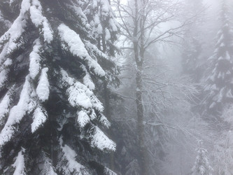 Similar image 2065970