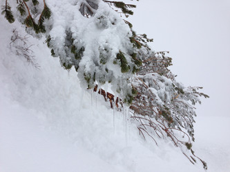 Similar image 2065971