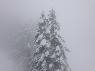 Similar image 2065974