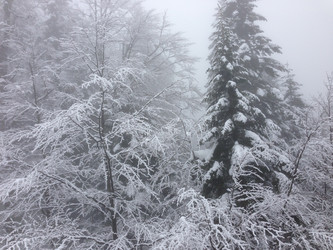 Similar image 2065975