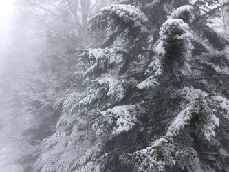 Similar image 2066004