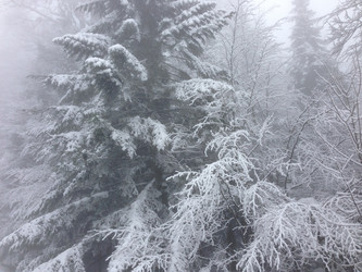 Similar image 2066008