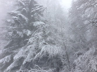 Similar image 2066010