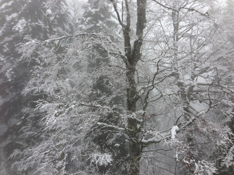 Similar image 2066009