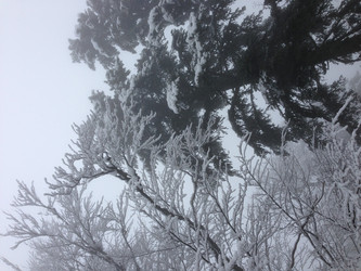 Similar image 2066014