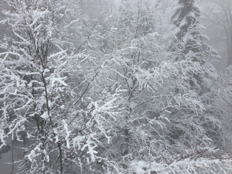 Similar image 2066018