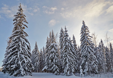 Similar image 2067263