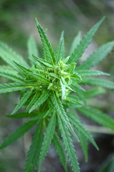 Similar image 2068196