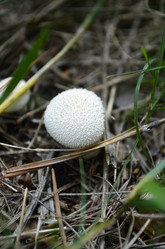 Similar image 2068198