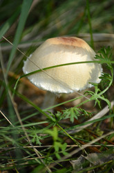 Similar image 2068206