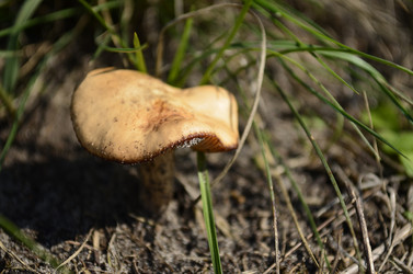 Similar image 2068207