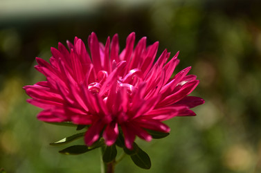 Similar image 2068294