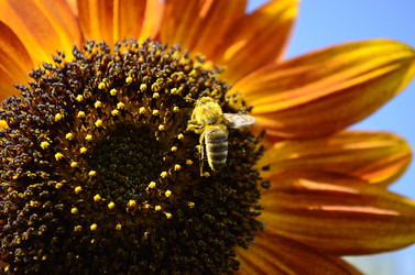 Similar image 2068296