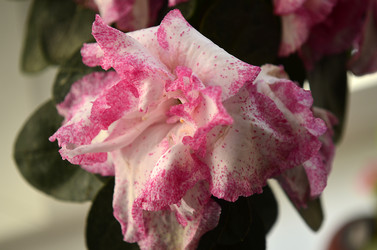 Similar image 2068298