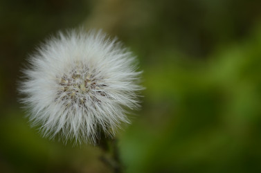 Similar image 2068302